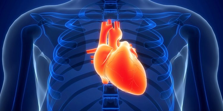 Terapia para doenças da aorta avança, mas detecção tardia é desafio