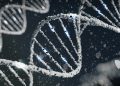 Transferência de gene entre espécies consegue aumentar a vida de ratos
