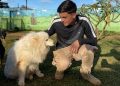 Horror no pet hotel: empresário deixou 6 cães morrerem de fome e sede