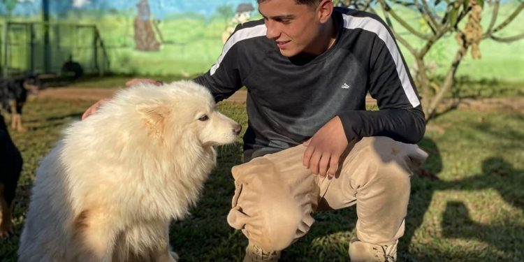 Horror no pet hotel: empresário deixou 6 cães morrerem de fome e sede