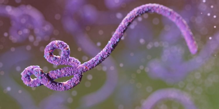 Surto de ebola na África: entenda como a doença é transmitida