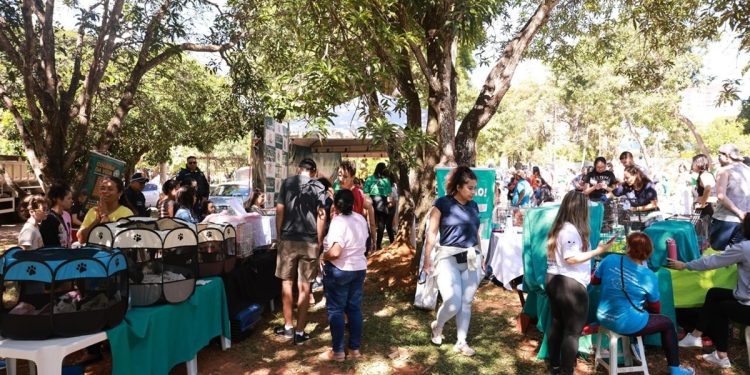 Parque da Cidade recebe feira de adoção de animais neste sábado (30/5)