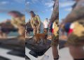 Marinha apreende 4 embarcações em festa náutica no Lago Paranoá. Veja vídeo
