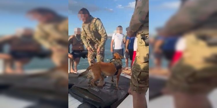 Marinha apreende 4 embarcações em festa náutica no Lago Paranoá. Veja vídeo