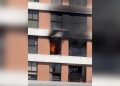 Gato morre após incêndio atingir apartamento em Águas Claras. Veja vídeo