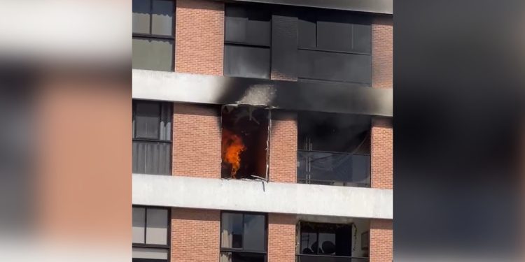 Gato morre após incêndio atingir apartamento em Águas Claras. Veja vídeo