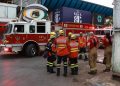 Animais de pet shop na Feira dos Importados escapam ilesos de incêndio