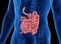 Falta de foco pode estar ligada ao funcionamento do intestino. Entenda