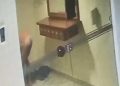 Ladrão que invadiu apartamento e fugiu nu é detido e liberado após depoimento