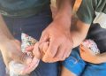 Macaco rouba e ataca criança que tentou alimentá-lo em Formosa
