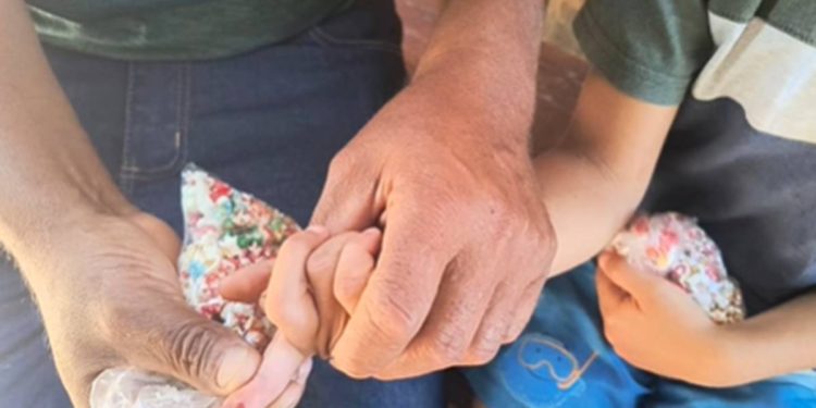Macaco rouba e ataca criança que tentou alimentá-lo em Formosa