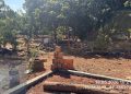 “Balneário da invasão”: 4 são presos em grilagem de luxo no DF