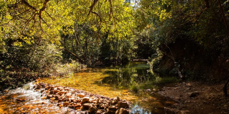 Cachoeira na Chapada dos Veadeiros terá área para nudismo. Saiba qual