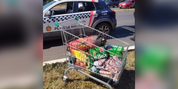 Cerveja e picanha: homem furta mercado para fazer churrasco e é preso