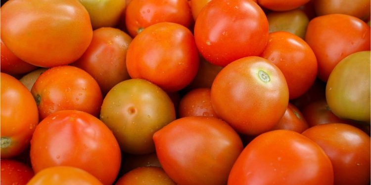 Saiba quais são os alimentos mais contaminados por agrotóxicos