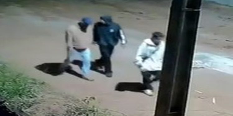 Idosos são sequestrados e amarrados durante assalto no DF. Veja vídeo