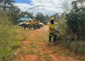 Incêndio em estação ecológica no DF mobiliza equipes e é controlado