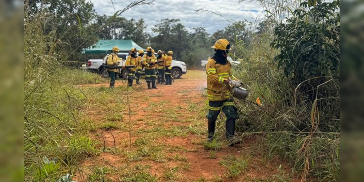 Incêndio em estação ecológica no DF mobiliza equipes e é controlado