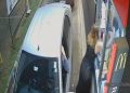 Veja momento em que cliente dá tapa na cara de atendente de drive-thru. Vídeo