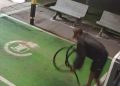 Ladrão furta cabos de carregamento de carro elétrico em Águas Claras. Veja vídeo