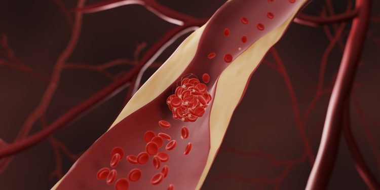 Sangue estraga? Saiba quanto tempo ele dura e como é reciclado