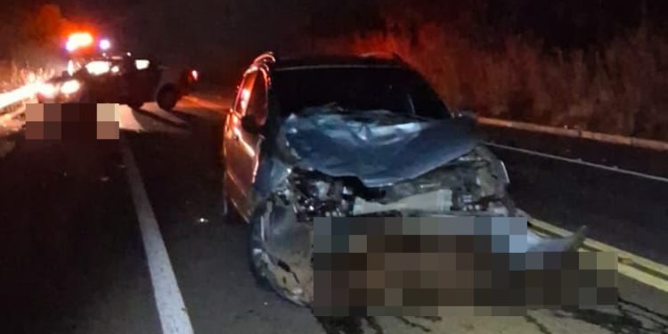 Carro atropela e mata duas vacas em acidente na BR-251