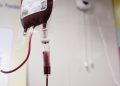 Alimentação e doação de sangue: o que comer antes e depois de doar