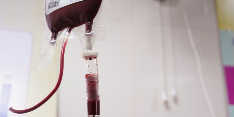 Alimentação e doação de sangue: o que comer antes e depois de doar