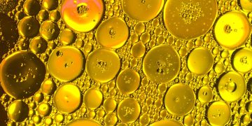 Cientistas descobrem gordura que reduz câncer de pâncreas. Saiba qual