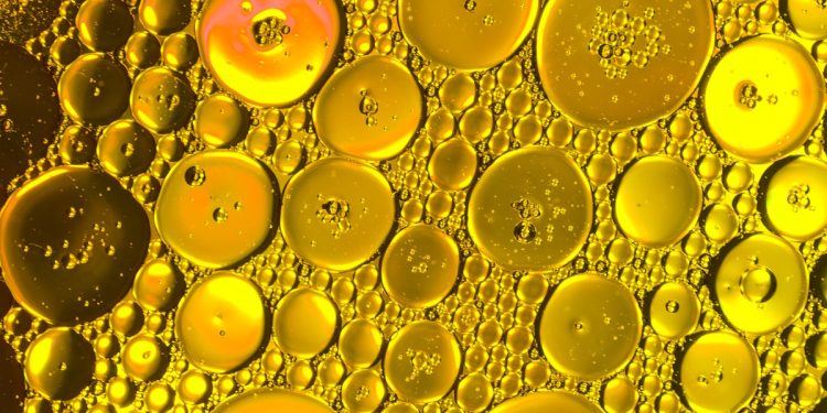 Cientistas descobrem gordura que reduz câncer de pâncreas. Saiba qual