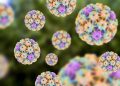 Falta de método de detecção dificulta a identificação de HPV em homens