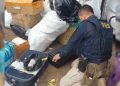 Ossada encontrada em ônibus no DF é de homem morto em 2006 em SP