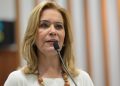 TRE derruba postagem que ligava deputada a “giro de luxo pela Europa”