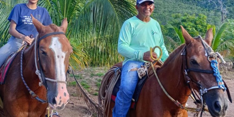 Além da distância: conheça os principais desafios da saúde no campo