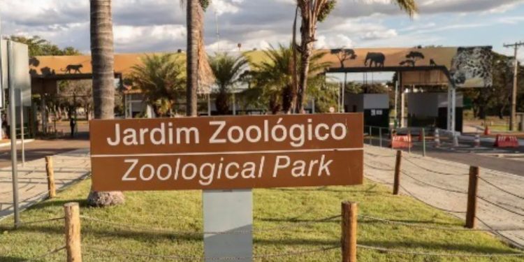 Zoológico de Brasília terá experiência imersiva no Corpus Christi
