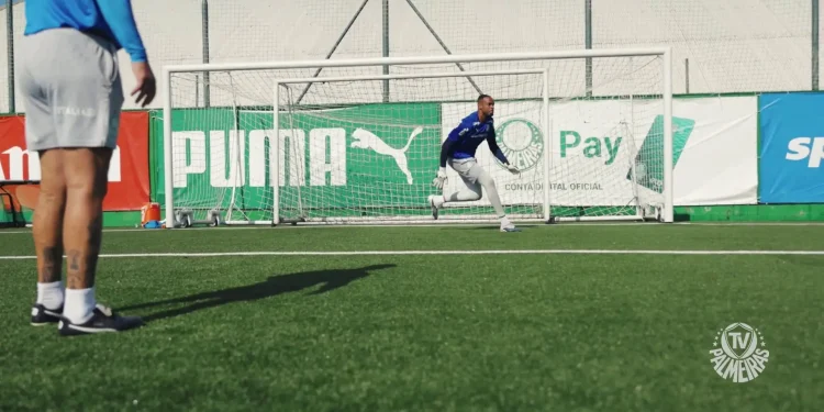 Treino de goleiros do Palmeiras; veja bastidores