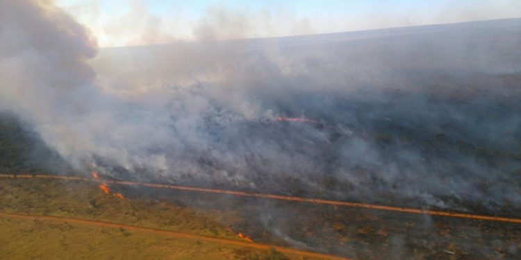 Floresta Nacional tem queimada prescrita marcada para esta quinta