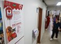 Falta de pets doadores de sangue deixa gatos e cães em risco no DF