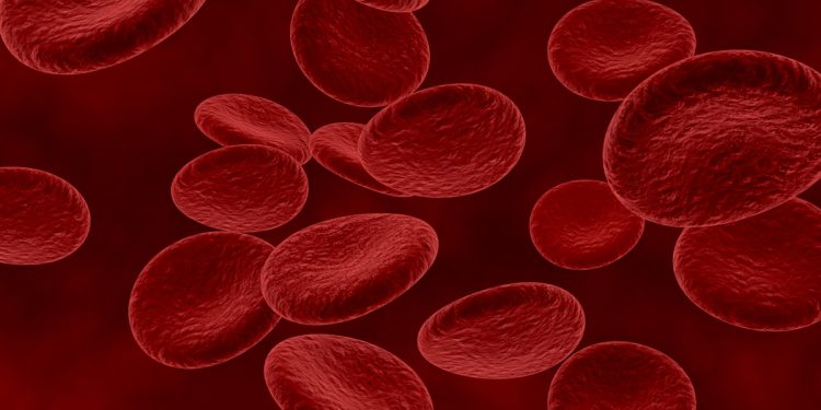 Cânceres de sangue podem evoluir sem sintomas por anos, alerta médico