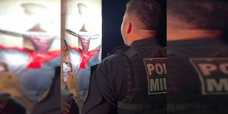Calcinha, sutiã e mistério: polícia investiga lingeries deixadas em árvores