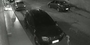 Vídeo mostra ataque de cães a menina de 8 anos em rua no DF