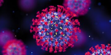 Pirola: nova variante do coronavírus é detectada em mais dois países