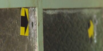 DF: vítima de feminicídio na Estrutural será enterrada neste sábado