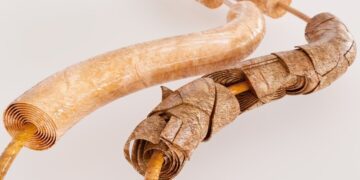 “Perdi todos os movimentos”, diz mulher recuperada da Guillain-Barré