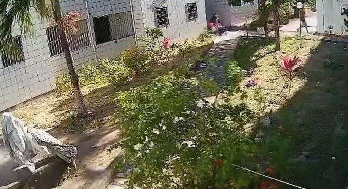 Mulher leva garrafadas de traficante e tem cortes profundos na cabeça