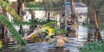 PF faz operação para combater caça ilegal de onça-pintada no Pantanal