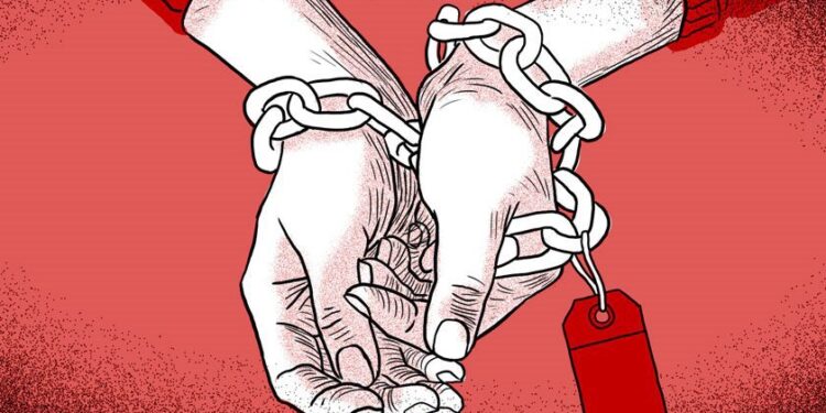 DPDF oferece serviços a mulheres no aniversário da Lei Maria da Penha