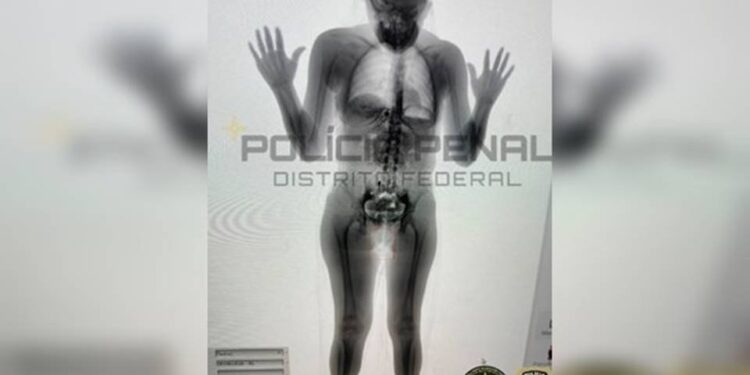 Comando Vermelho e Comboio do Cão recrutam advogados para abastecer a Papuda com drogas