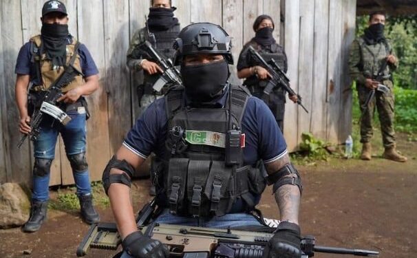 Pró-drogas: narcóticos que só se tornam alucinógenos dentro do corpo