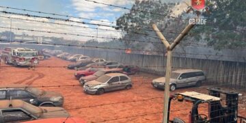 Incêndio destrói 20 hectares do Parque Burle Marx e quase atinge pátio do Detran